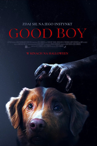 Good boy