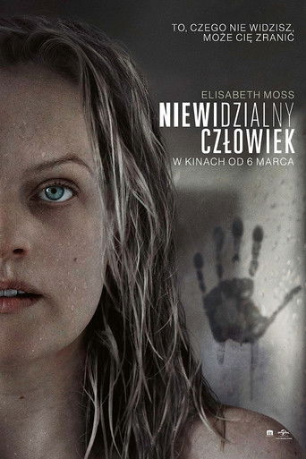 Okładka filmu Niewidzialny człowiek