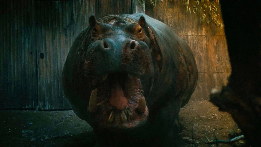 Zdjęcie okładkowe wpisu: Krwiożerczy hipopotam rusza na łowy! Hungry zapowiada najbardziej absurdalny (i brutalny) thriller roku
