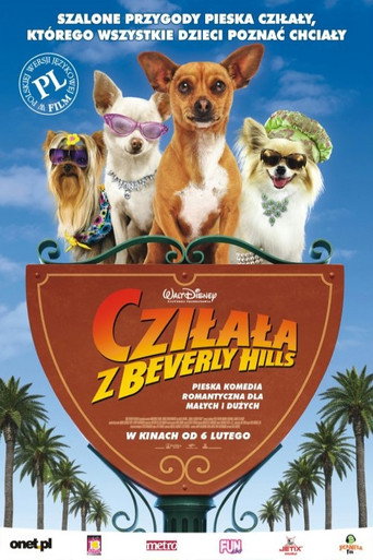 Okładka filmu Cziłała z Beverly Hills