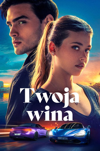 Okładka filmu Twoja wina