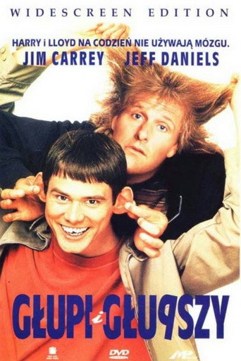 Okładka filmu Głupi i głupszy