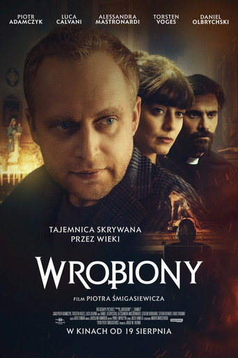 Okładka filmu Wrobiony