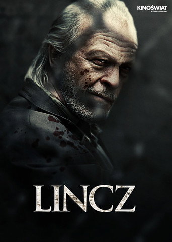 Okładka filmu Lincz