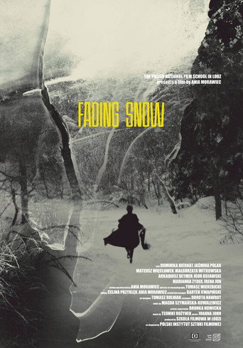 Okładka filmu Ostatnie śniegi