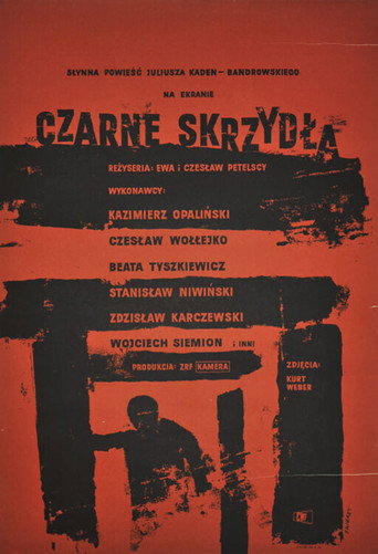 Okładka filmu Czarne skrzydła
