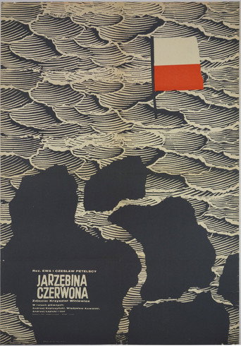Okładka filmu Jarzębina czerwona