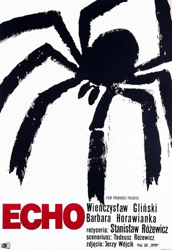 Okładka filmu Echo