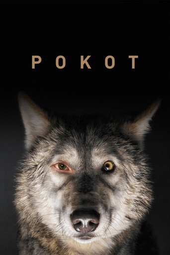 Okładka filmu Pokot