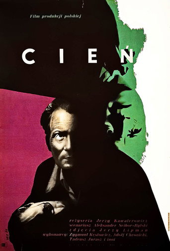 Okładka filmu Cień