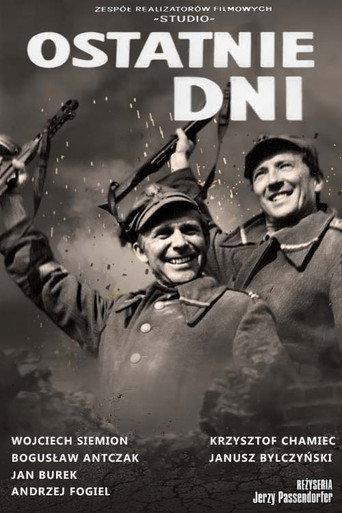 Okładka filmu Ostatnie dni