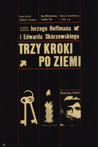 Okładka filmu Trzy kroki po ziemi