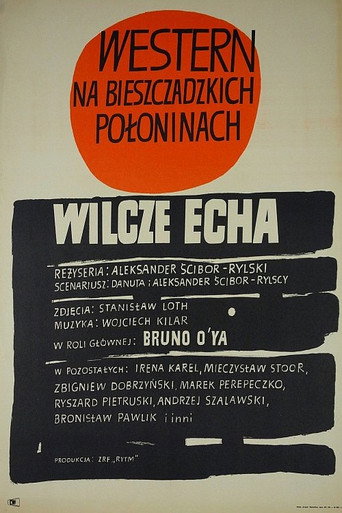 Okładka filmu Wilcze echa