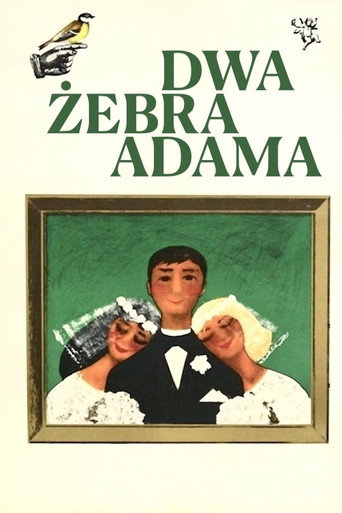 Okładka filmu Dwa żebra Adama