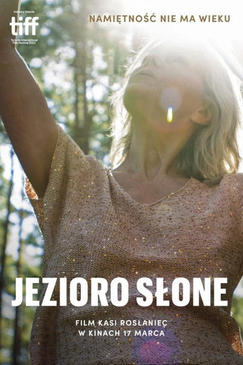 Okładka filmu Jezioro Słone
