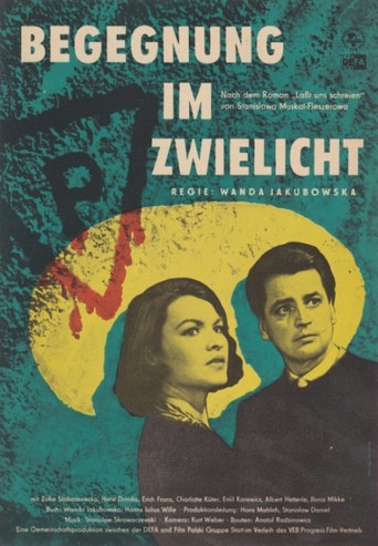 Okładka filmu Spotkania w mroku