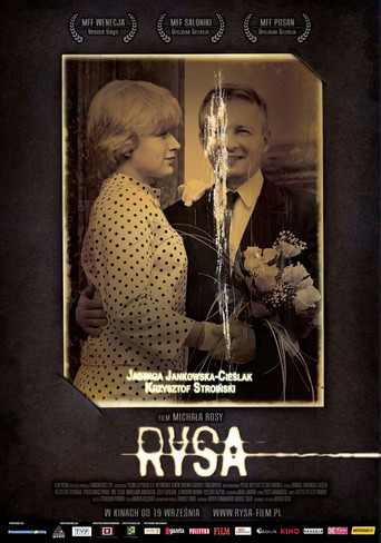 Okładka filmu Rysa