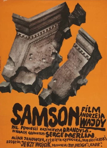 Okładka filmu Samson