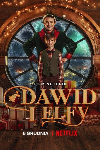 Okładka filmu Dawid i elfy
