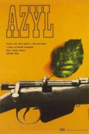 Okładka filmu Azyl