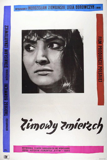 Okładka filmu Zimowy zmierzch