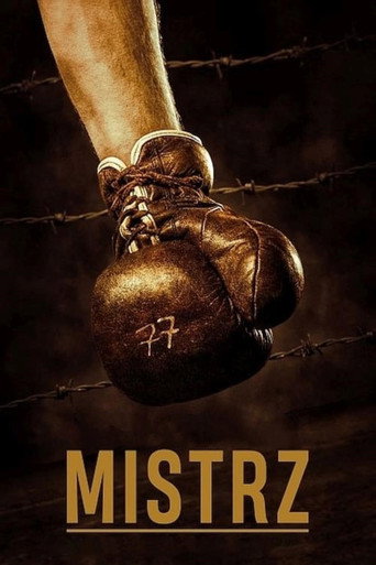 Okładka filmu Mistrz