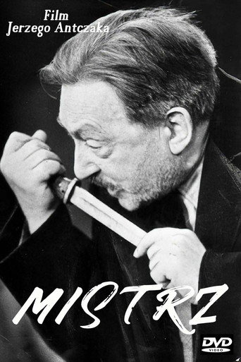 Okładka filmu Mistrz