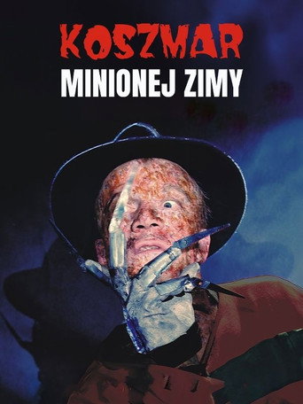 Okładka filmu Koszmar minionej zimy