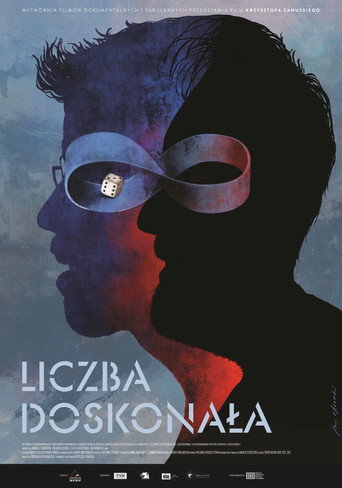 Okładka filmu Liczba doskonała