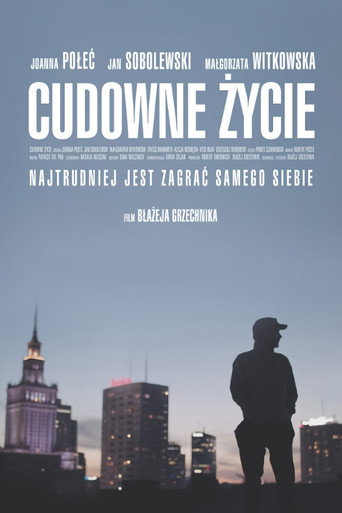 Okładka filmu Cudowne życie