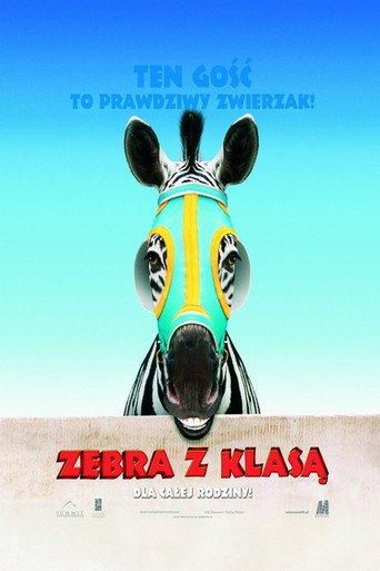Zebra z klasą