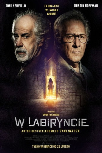 Okładka filmu W labiryncie
