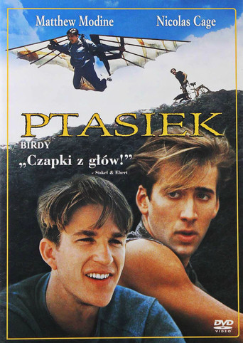Okładka filmu Ptasiek