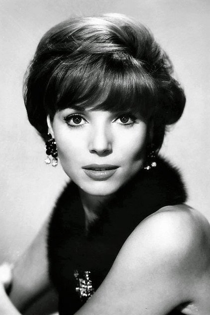 Zdjęcie Elsa Martinelli