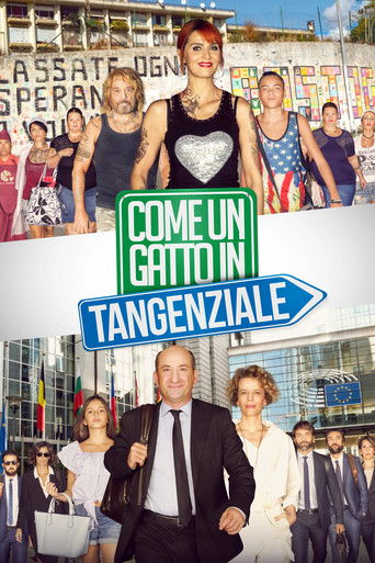 Okładka filmu Come un gatto in tangenziale
