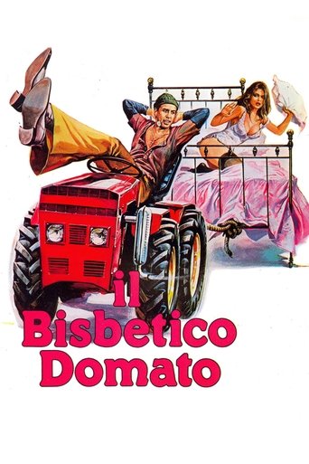 Okładka filmu Il bisbetico domato