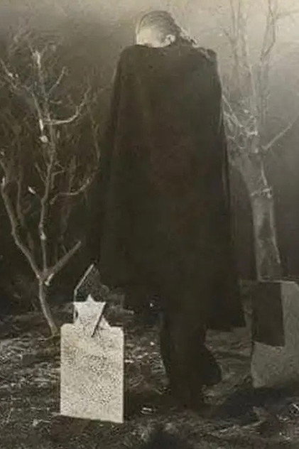 Zdjęcie Tom Mason