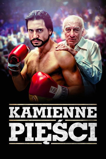 Okładka filmu Kamienne pięści
