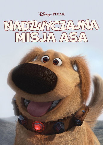 Okładka filmu Nadzwyczajna misja Asa
