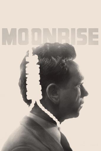 Okładka filmu Moonrise