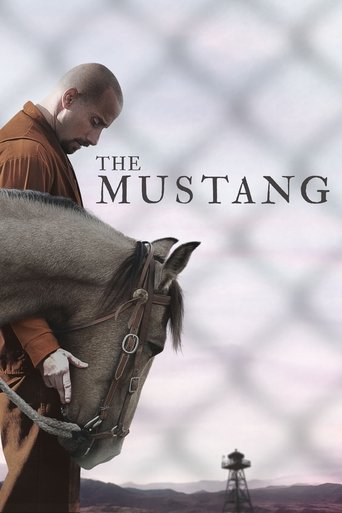 Okładka filmu Mustang