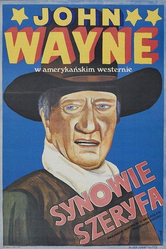 Okładka filmu Synowie Szeryfa