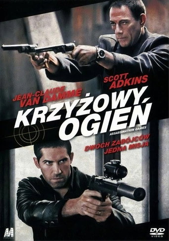 Okładka filmu Krzyżowy Ogień