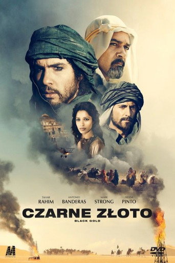 Okładka filmu Czarne złoto