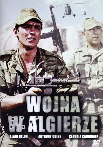 Okładka filmu Wojna w Algierze