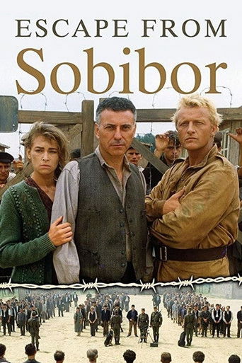 Okładka filmu Ucieczka z Sobiboru