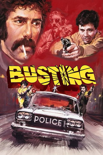 Okładka filmu Busting
