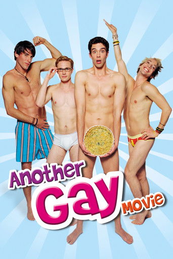 Okładka filmu Another Gay Movie