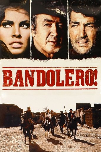 Okładka filmu Bandolero!