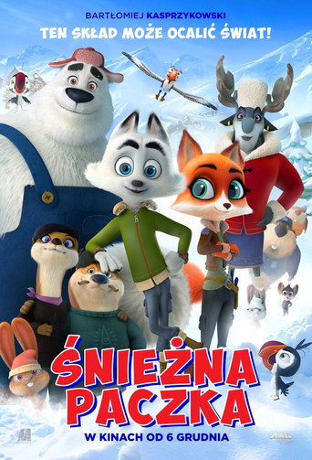 Okładka filmu Śnieżna paczka